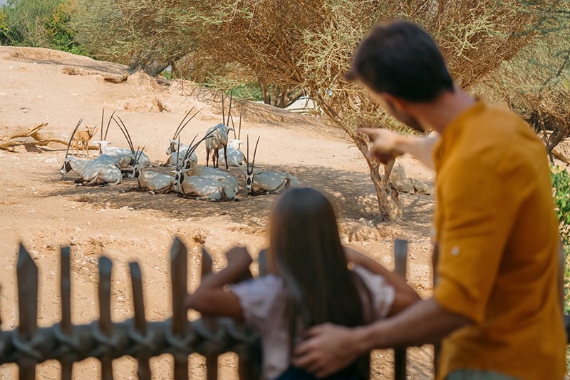 Al Ain Zoo