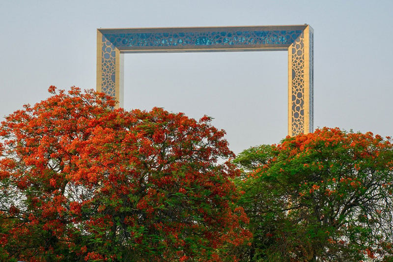 image gallery